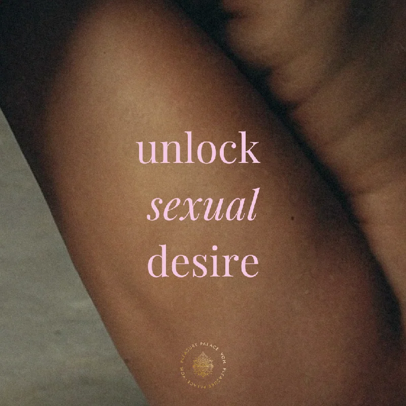 Discreet BDSM toy cases-Unlocking Sexual Desire Masterclass