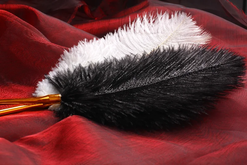 Affordable BDSM toy kits-Boujee Feather Tickler BDSM