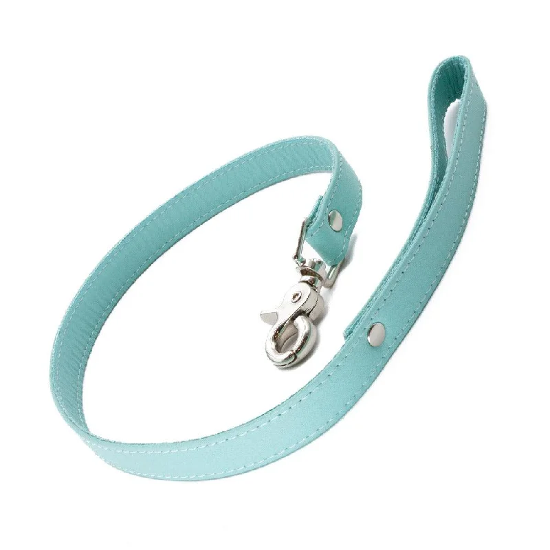 Affordable BDSM toy kits-Zoë Ligon x The Stockroom Limited Edition 2' Leash, Mint Green